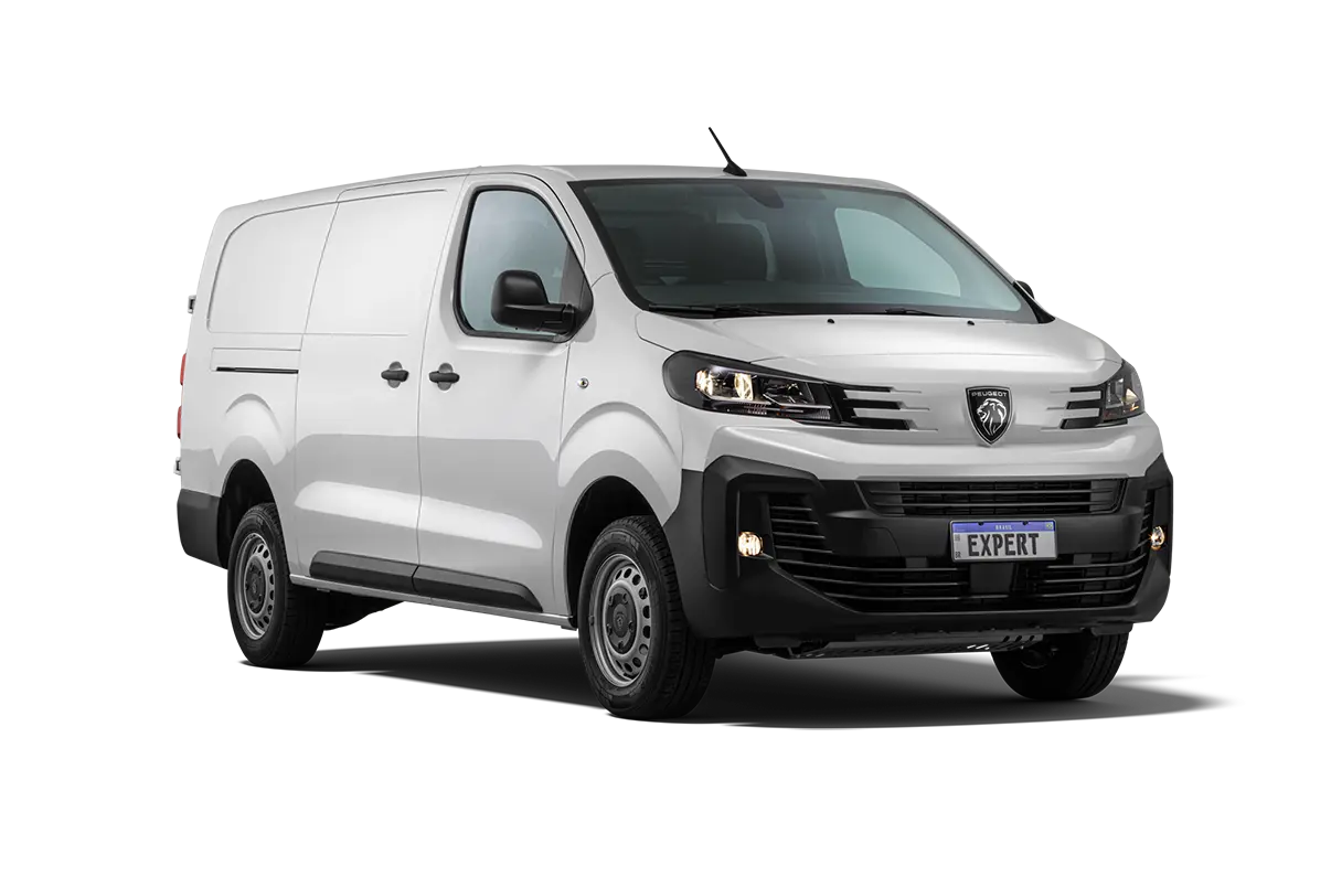 EXPERT EXPERT CARGO 26/26 2.2 TURBO DIESEL